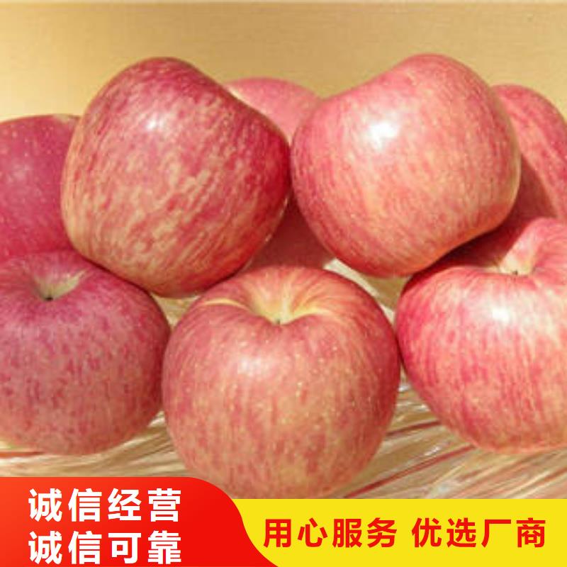【红富士苹果嘎啦苹果源头厂家供应】