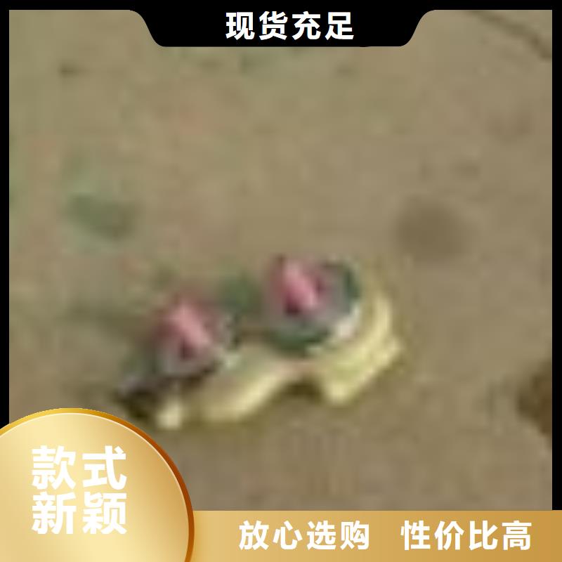 漲力盤壓力盤和蠟盤邵志輝