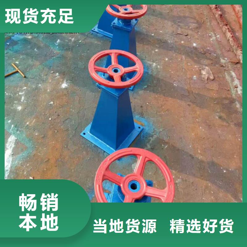 康禹【 启闭机精心打造】