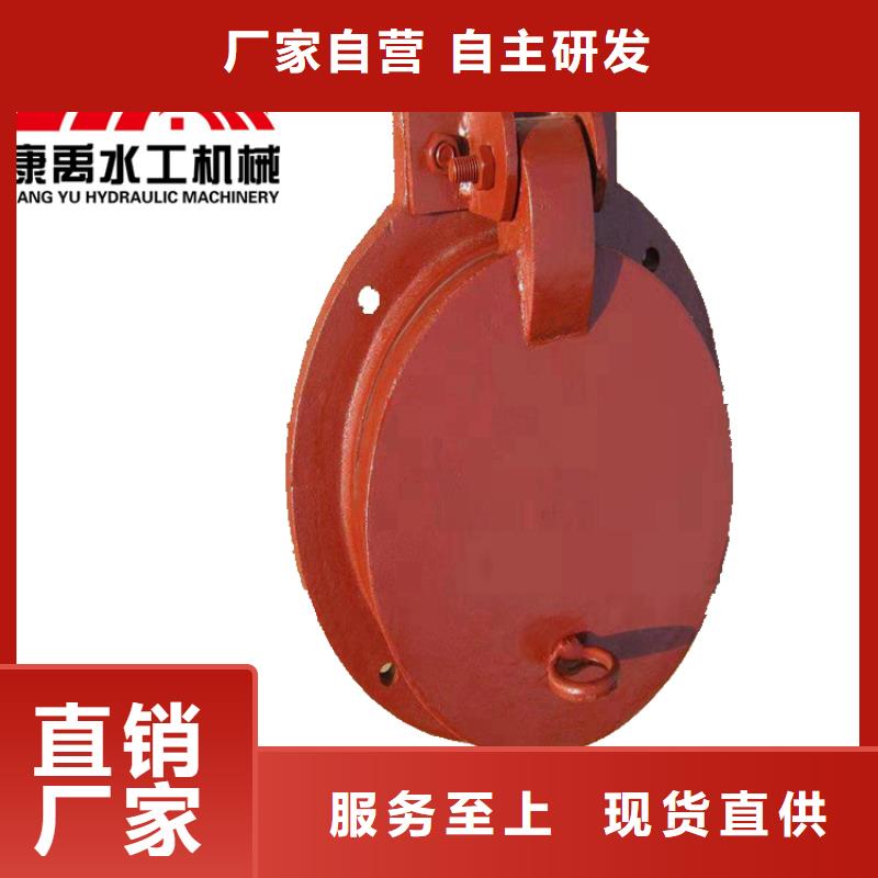 闸门48小时发货支持定制