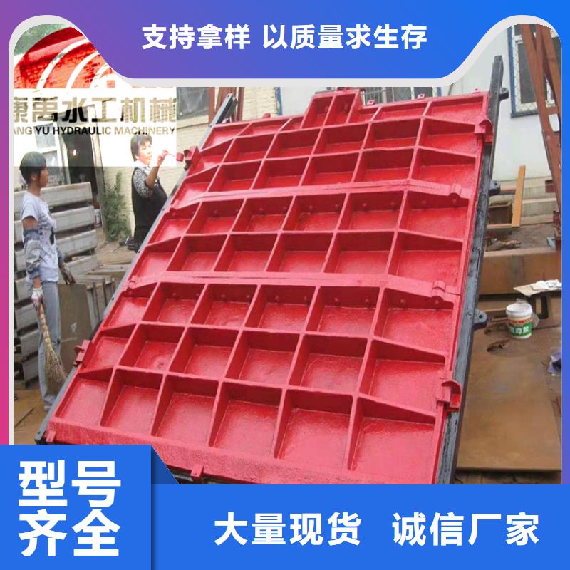 闸门48小时发货支持定制