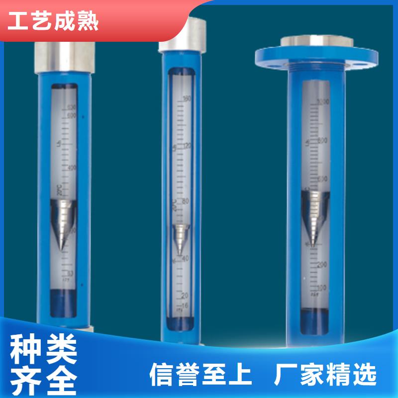 【G10】氮气流量计品牌企业