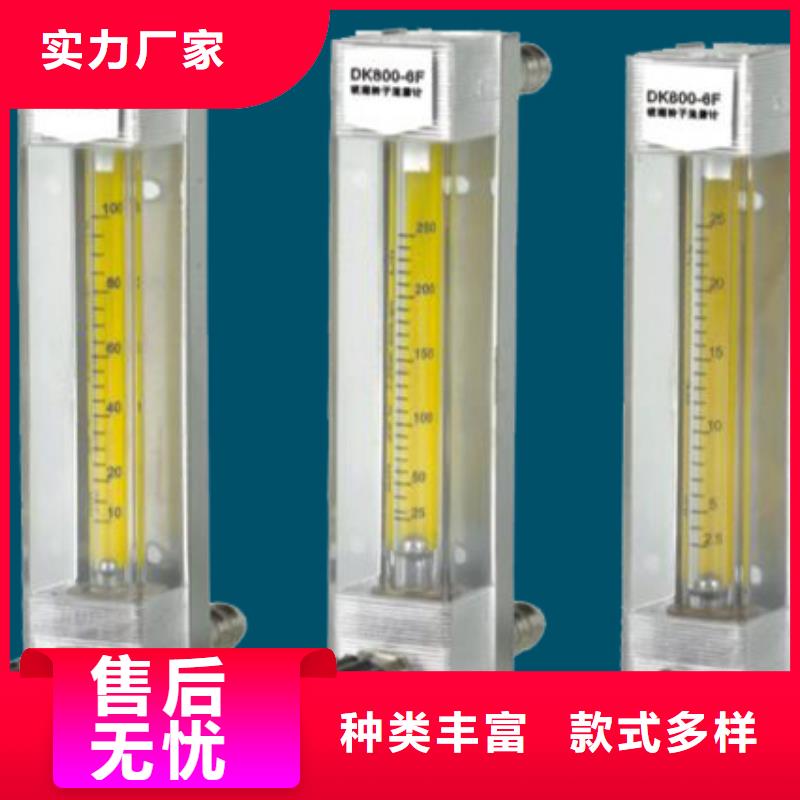 【 DK800,氢气玻璃转子流量计追求品质】-瑞明仪表厂(汕尾市分公司)