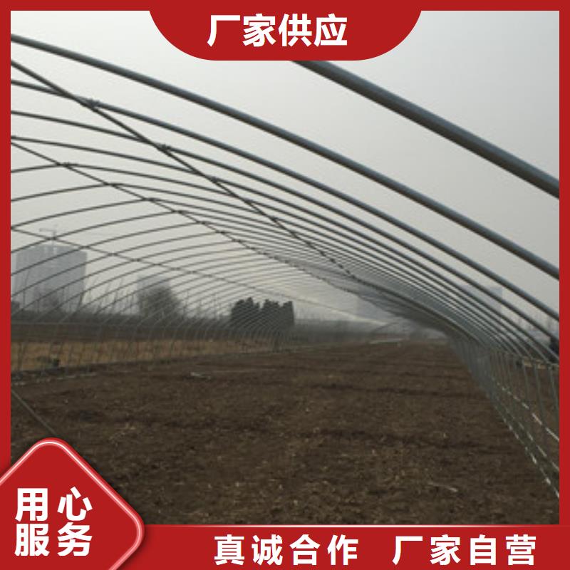 大棚管-【H型钢】专业供货品质管控覆盖范围含|乌海|乌兰察布|阿拉善|呼伦贝尔|赤峰|呼和浩特
