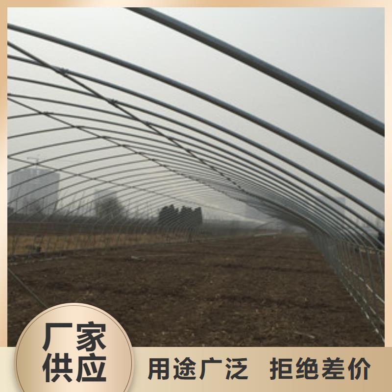 大棚管扁钢好品质用的放心
