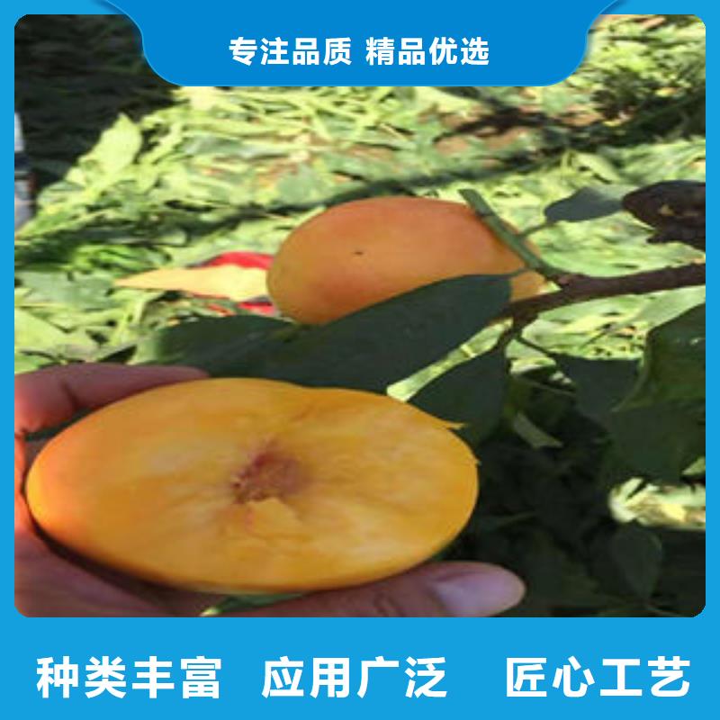 3厘米种植时间