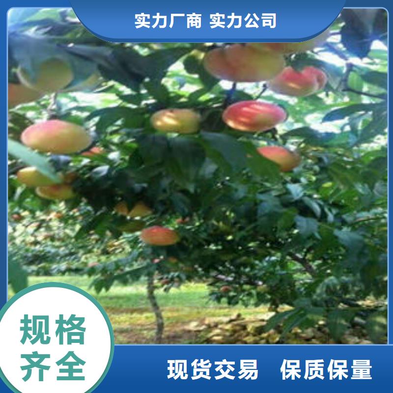 1.5米供应