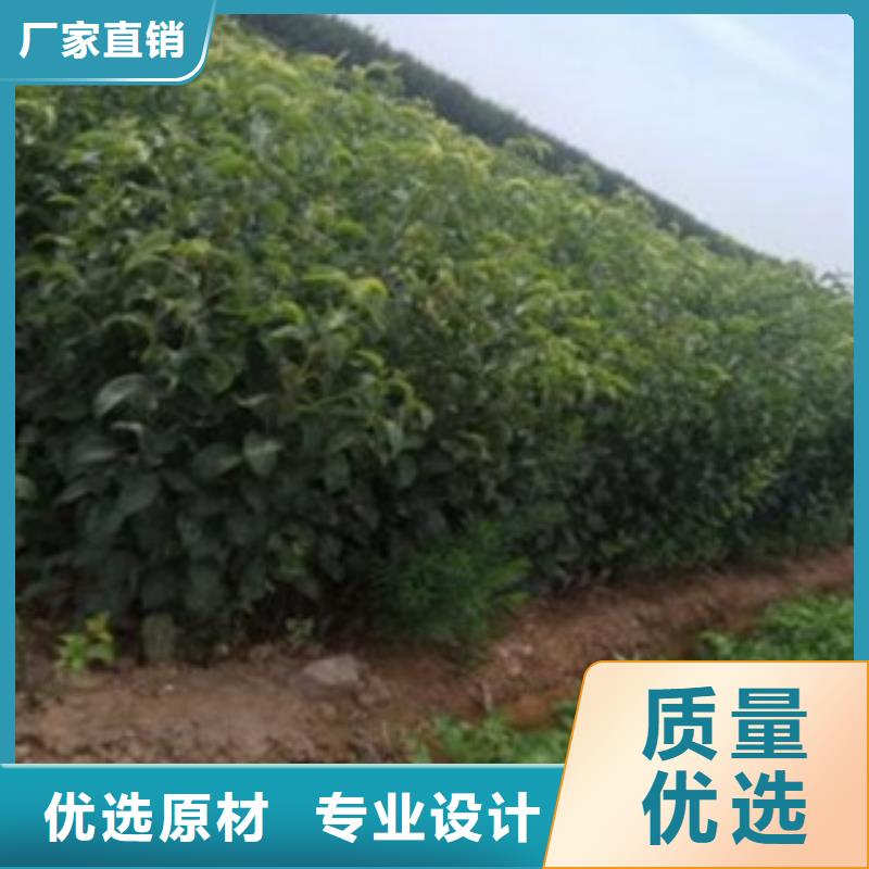 2米种植技术