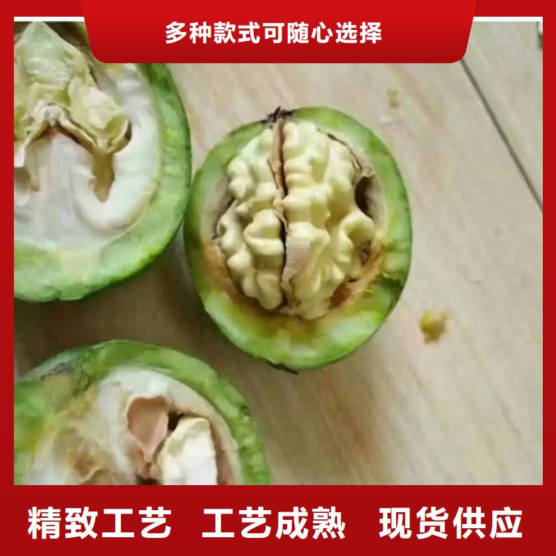 核桃苗,桃树苗品质无所畏惧