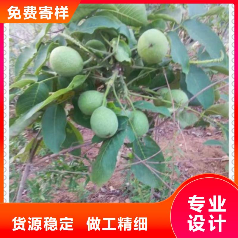 核桃苗-视频-台湾核桃苗-兴海苗木种植社(台湾分公司)服务区域