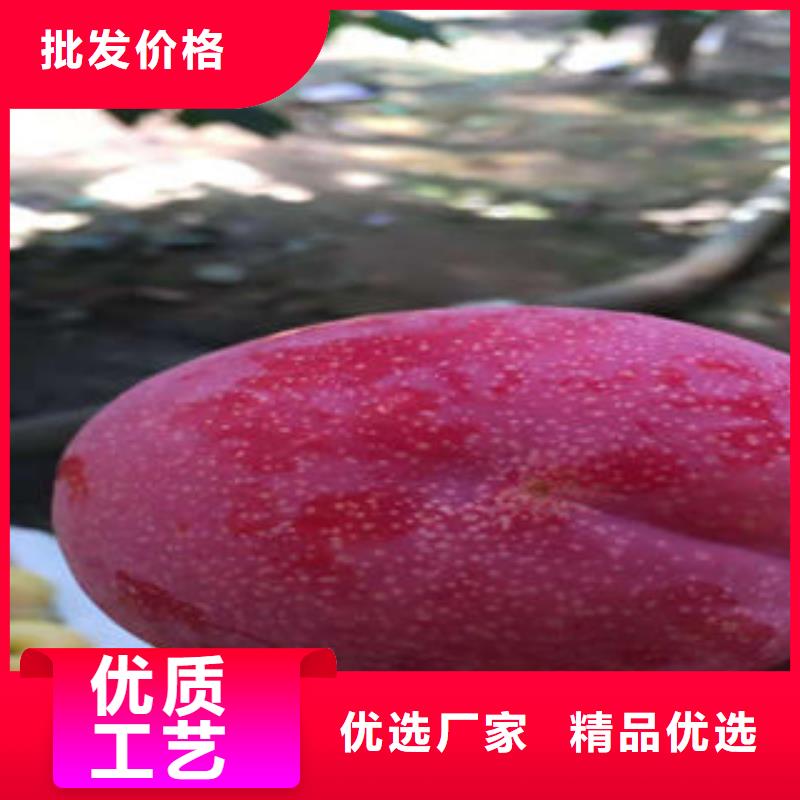 李子苗核桃苗用心制作