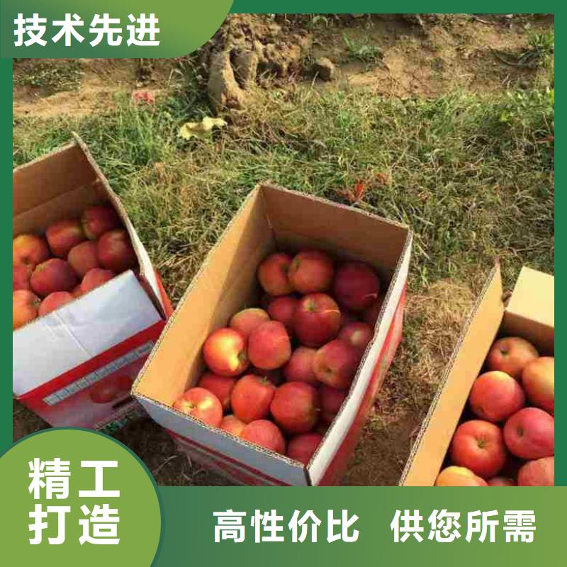 【 苹果苗 花椒苗原厂制造】