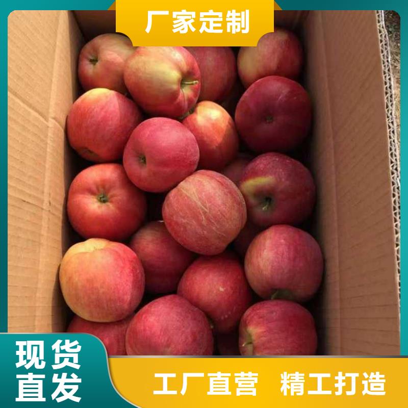 【 苹果苗 花椒苗原厂制造】