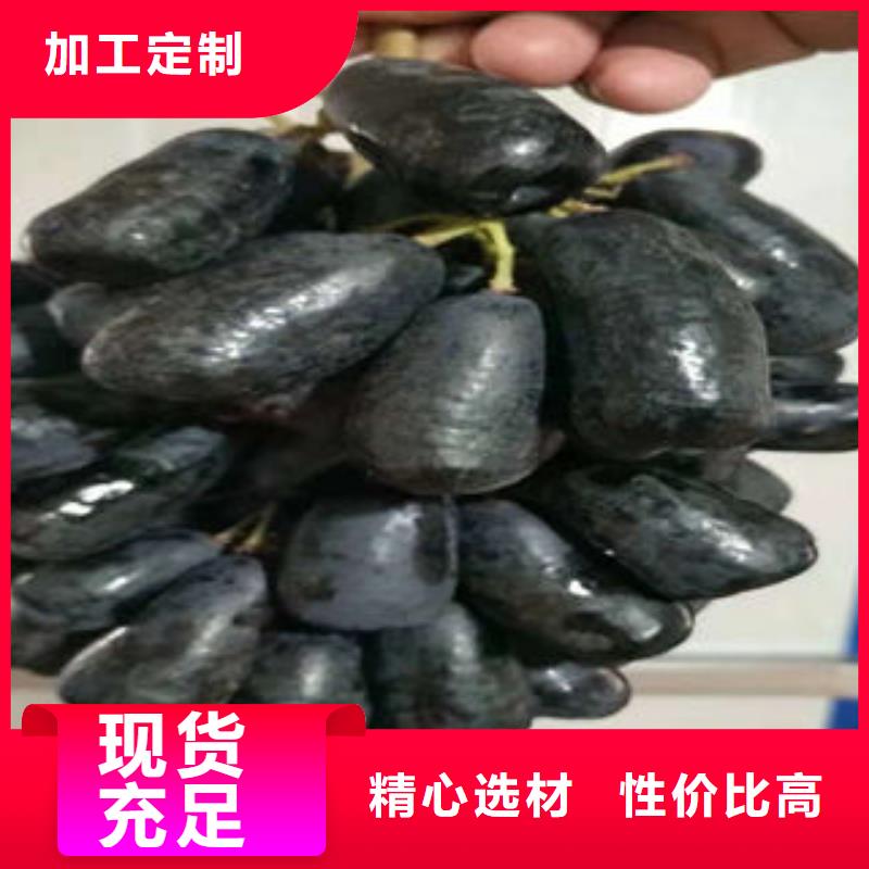 葡萄苗,梨树苗价格有优势