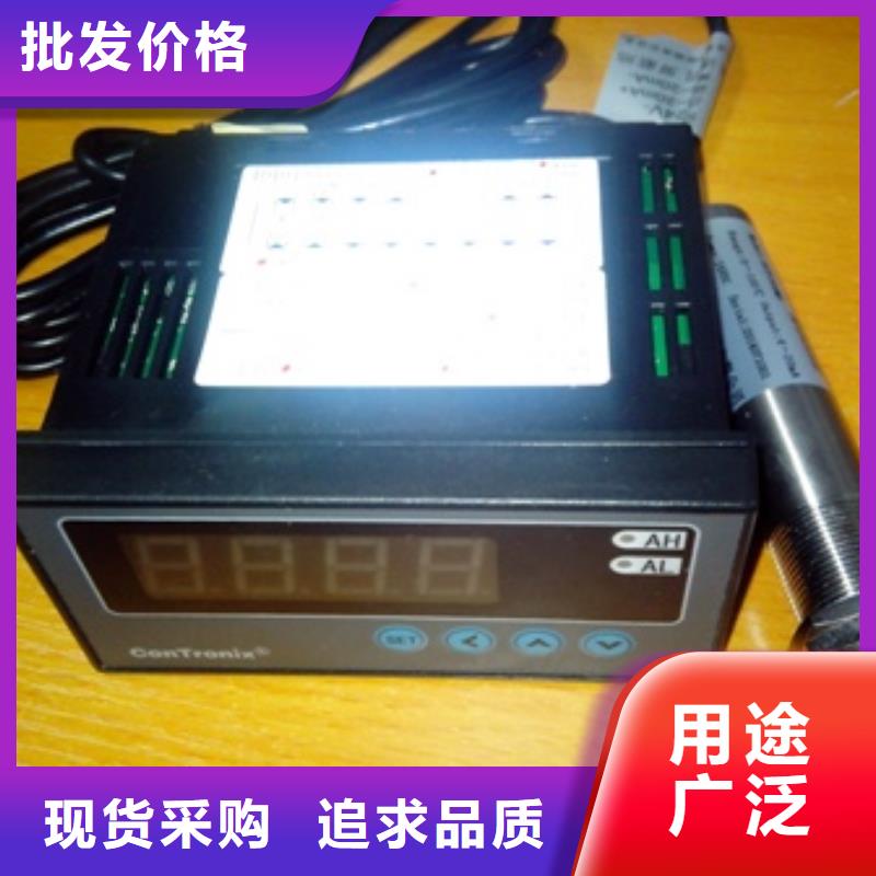 IRTP300L金属管浮子流量计支持非标定制