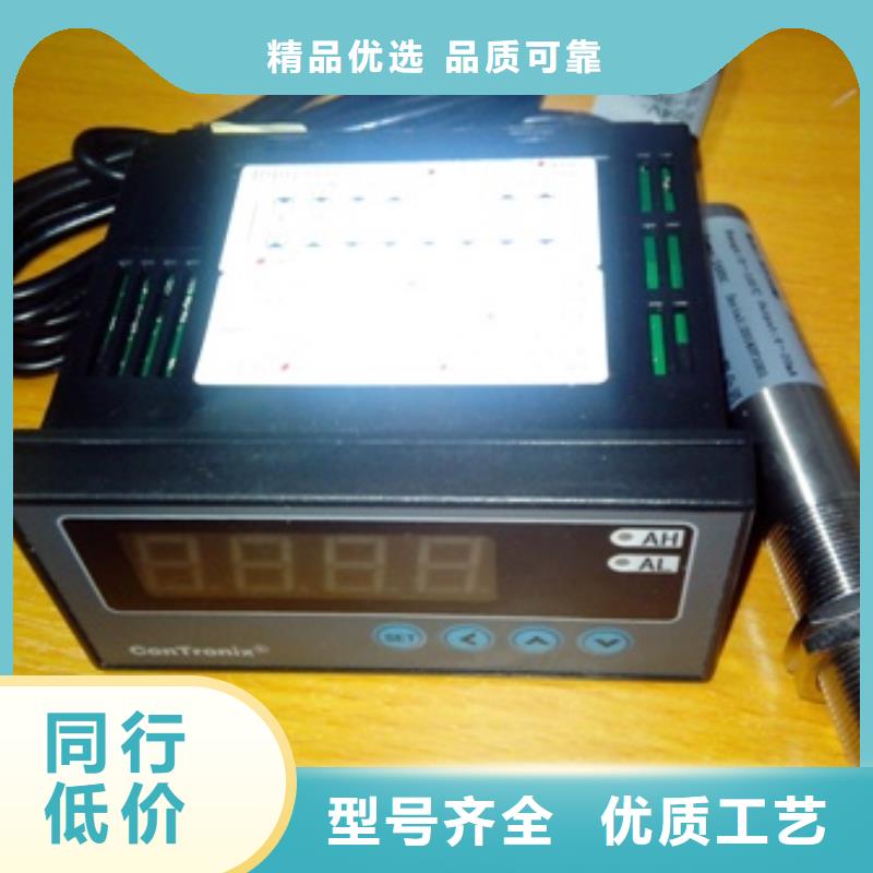 IRTP300L温度无线测量系统信誉至上