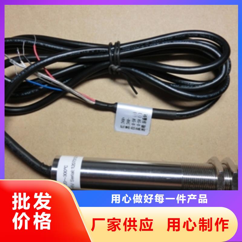 IRTP300L,红外探头性价比高