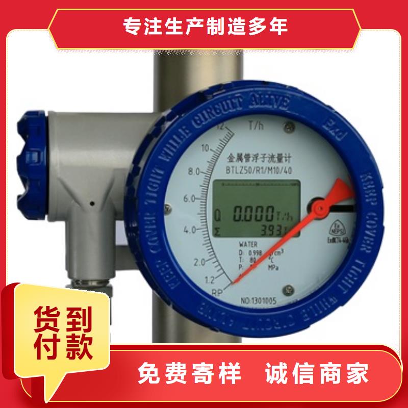 内衬PTFE金属转子流量计微小流量计值得买