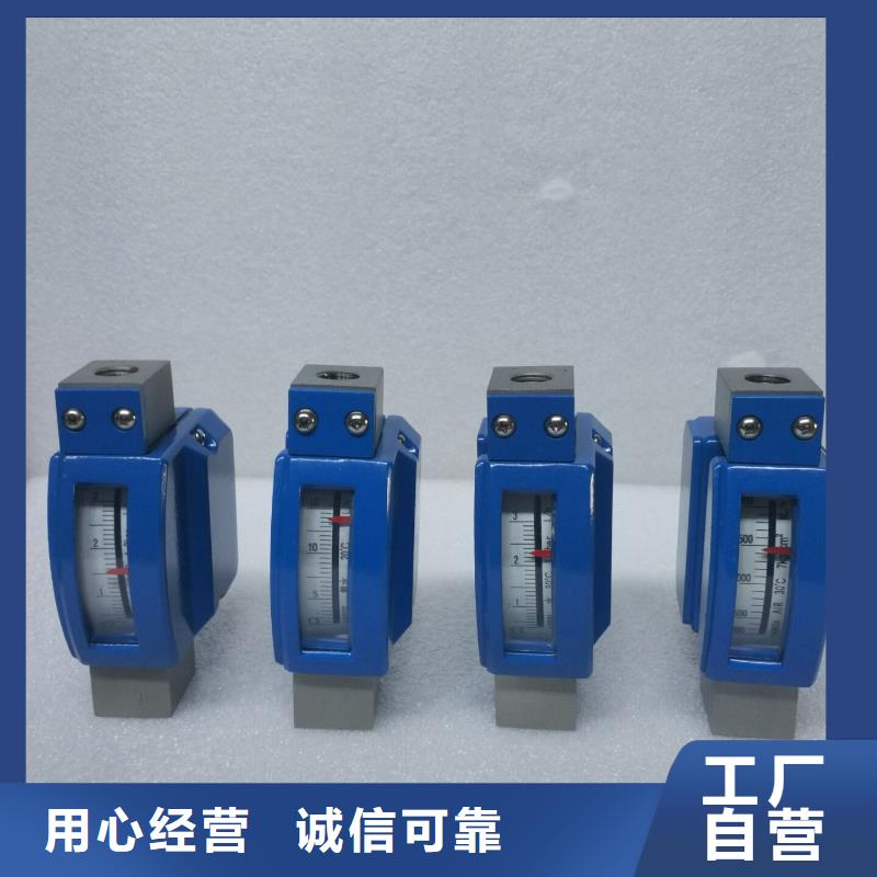 金属浮子流量计温度无线测量系统交货准时