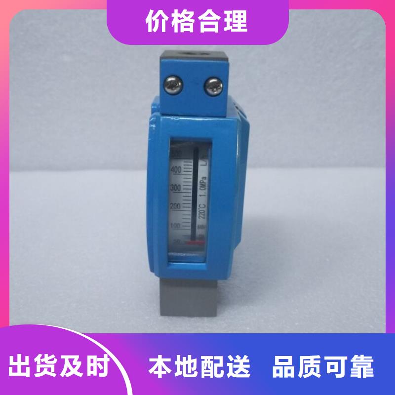 微小流量计IRTP300L红外测温传感器快速生产