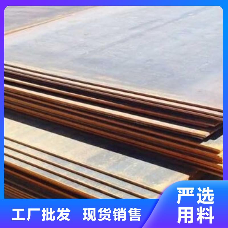 【 钢板-热镀锌角钢 大厂生产品质】本地服务商