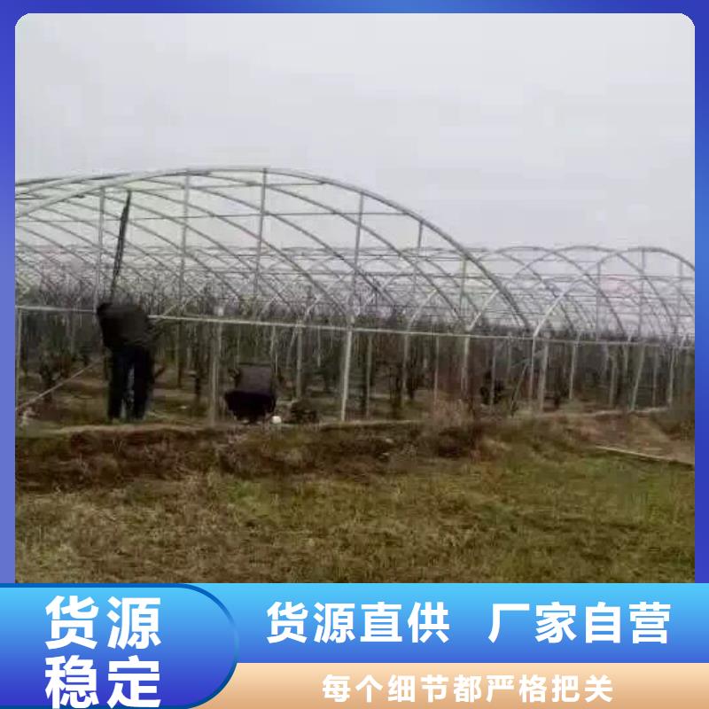 镀锌管材热镀锌圆钢货到付款