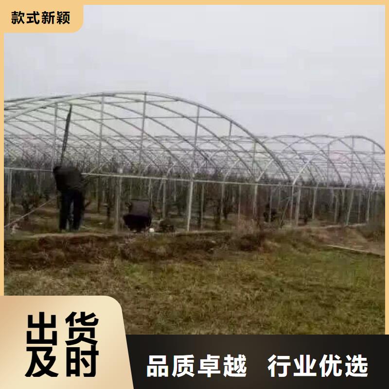【镀锌管材】,热镀锌h型钢精选好货-阔恒兴旺贸易(延安市分公司)