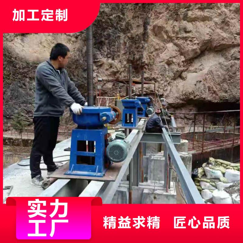 螺桿式啟閉機雙吊點啟閉機品質卓越