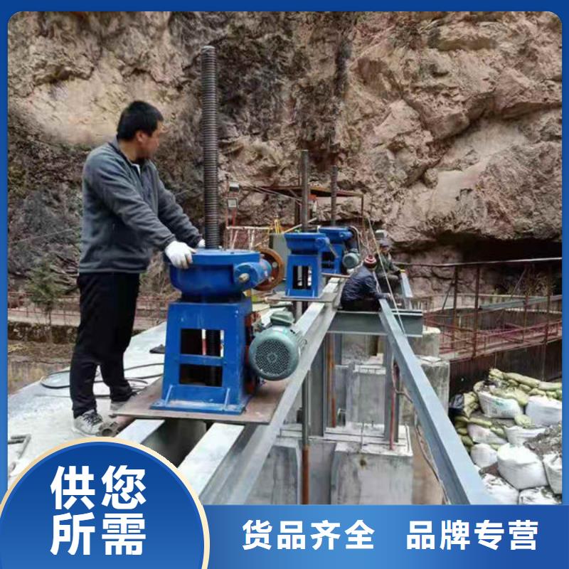 螺杆式启闭机斜拉式启闭机现货满足大量采购
