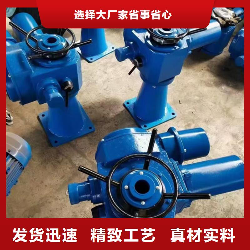 螺桿式啟閉機(jī)手動啟閉機(jī)實力才是硬道理
