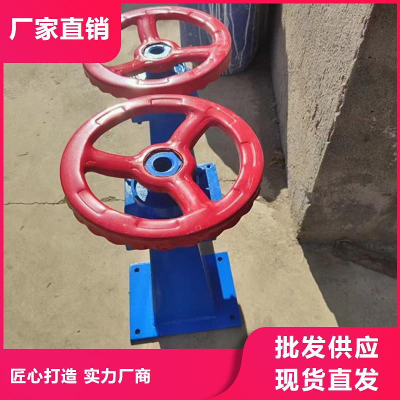 螺杆式启闭机双吊点启闭机用心服务