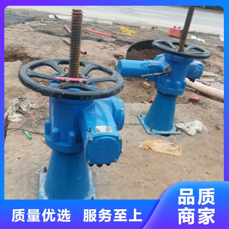 螺桿式啟閉機(jī),手搖啟閉機(jī)值得信賴(lài)