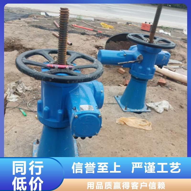 螺杆式启闭机,手电两用启闭机实拍展现