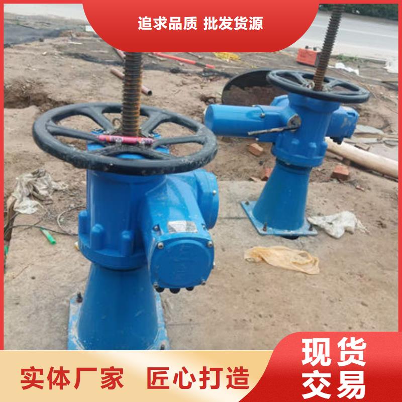 螺杆式启闭机-螺杆启闭机使用寿命长久