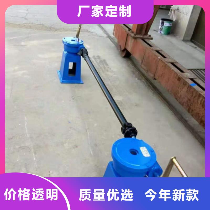 螺杆式启闭机双吊点启闭机主推产品