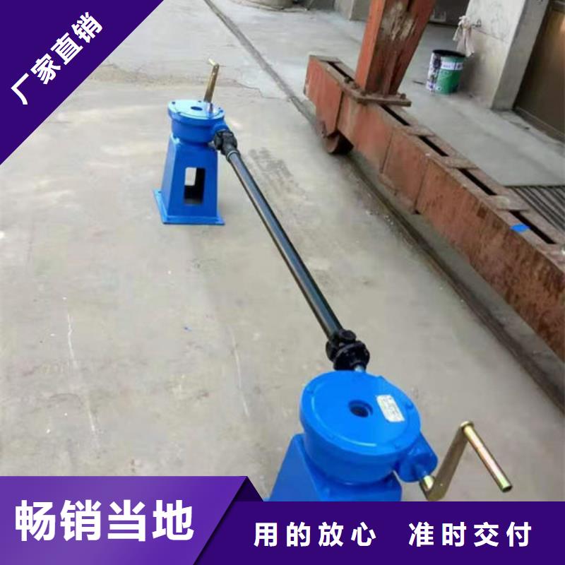 螺杆式启闭机斜拉式启闭机专业完善售后