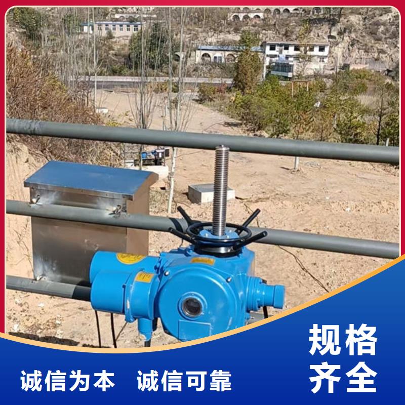 螺杆式启闭机侧摇启闭机用心制造