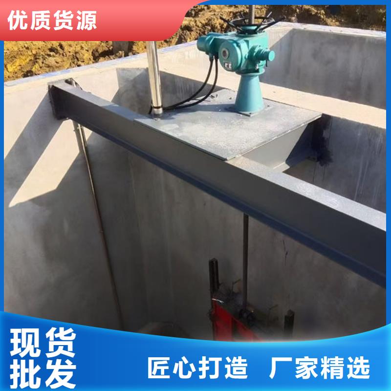 螺杆式启闭机启闭机闸门诚信经营质量保证