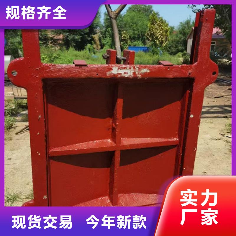 铸铁闸门,铸铁拍门一站式厂家