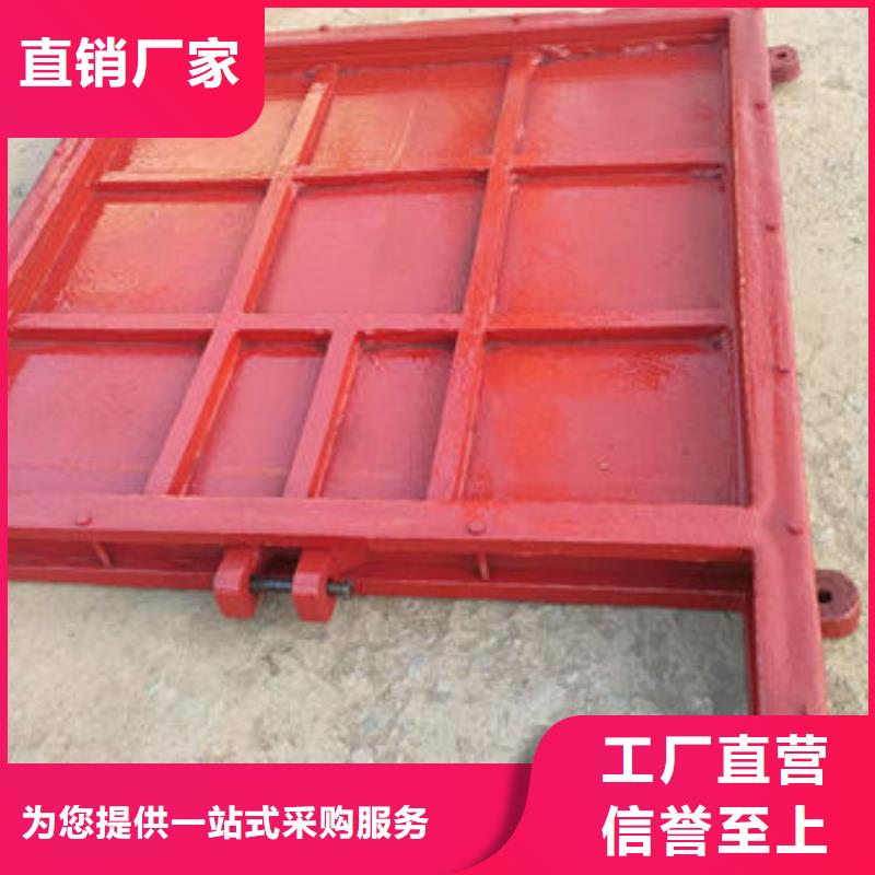铸铁闸门-双向止水闸门真材实料诚信经营