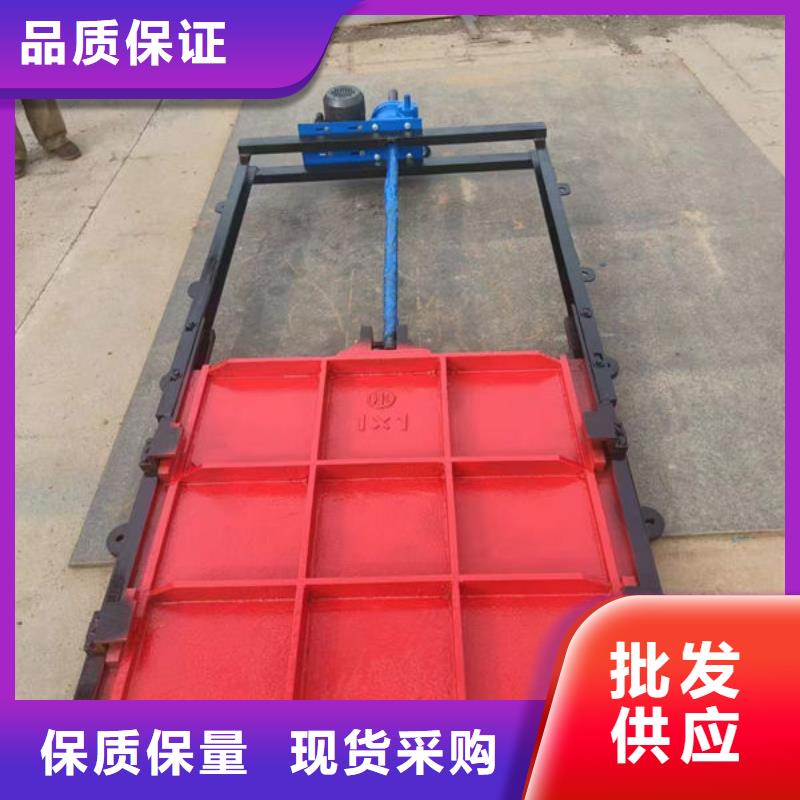 铸铁闸门,球墨铸铁闸门工艺精细质保长久