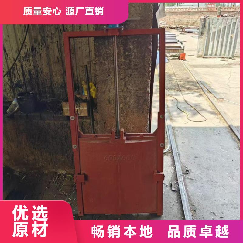 铸铁闸门,机闸一体式铸铁闸门高性价比
