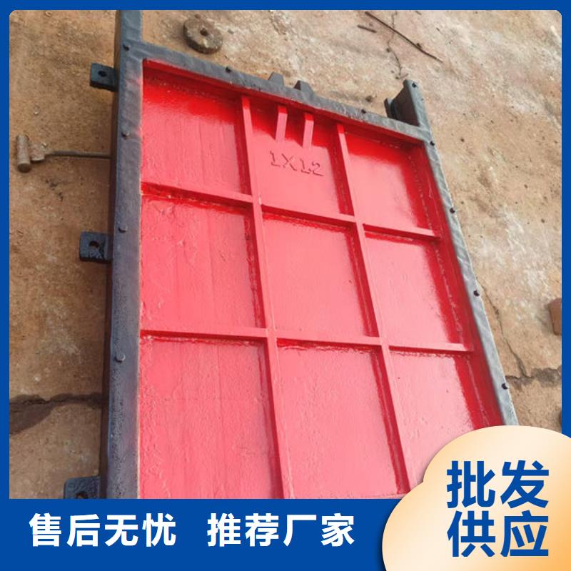铸铁闸门,扇形闸门质量牢靠