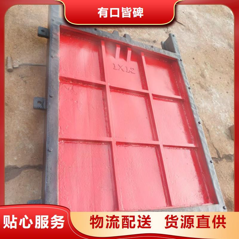 铸铁闸门-镶铜铸铁闸门精工制作