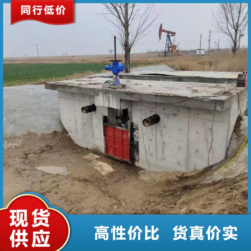 铸铁闸门河道铸铁闸门多行业适用