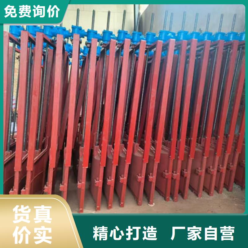 球墨铸铁闸门诚信厂家