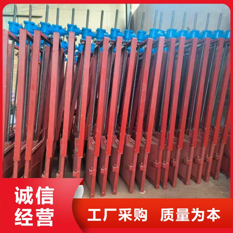 铸铁闸门双向止水闸门专业生产厂家