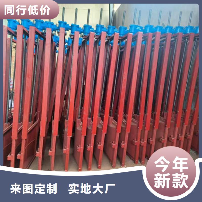 铸铁闸门,河道铸铁闸门全品类现货