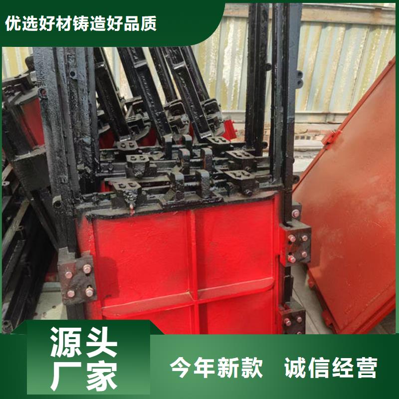 铸铁闸门_河道铸铁闸门厂诚信经营