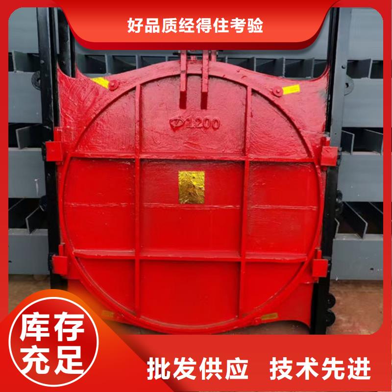 铸铁闸门镶铜铸铁闸门N年大品牌